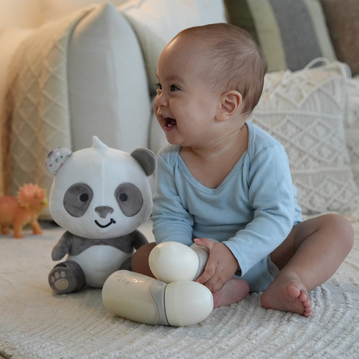 Sensory Toys