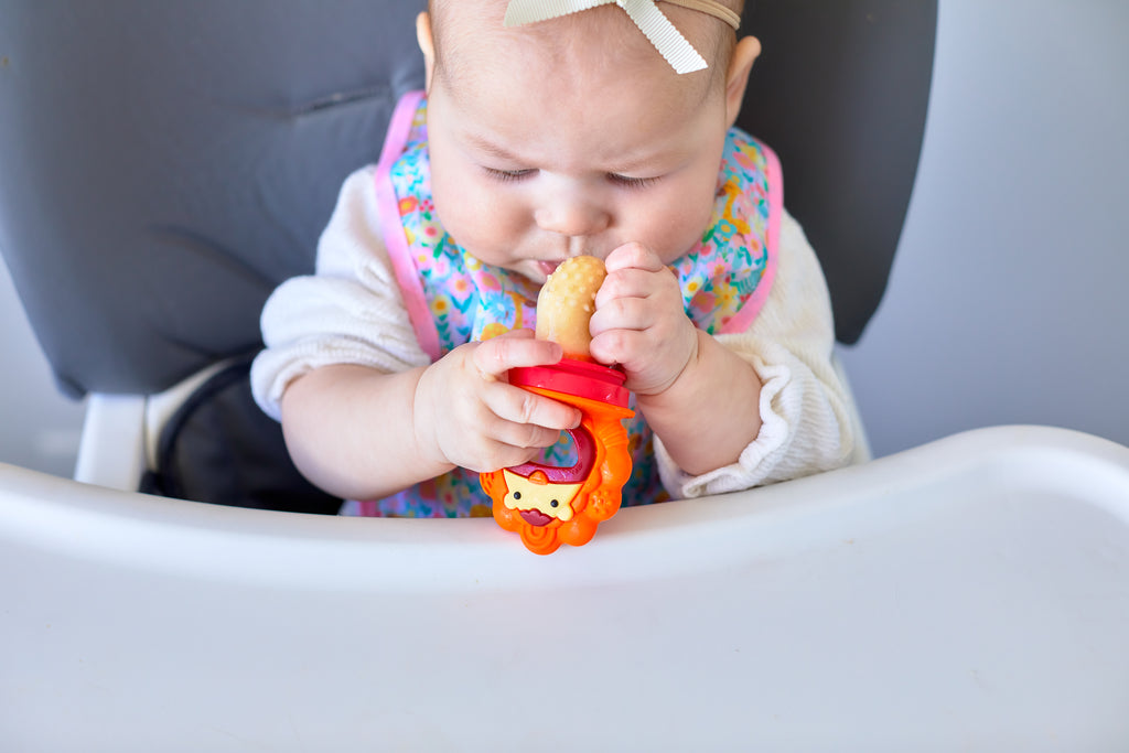 Marcus & Marcus Multi Purpose Silicone Self Feeder N Pop