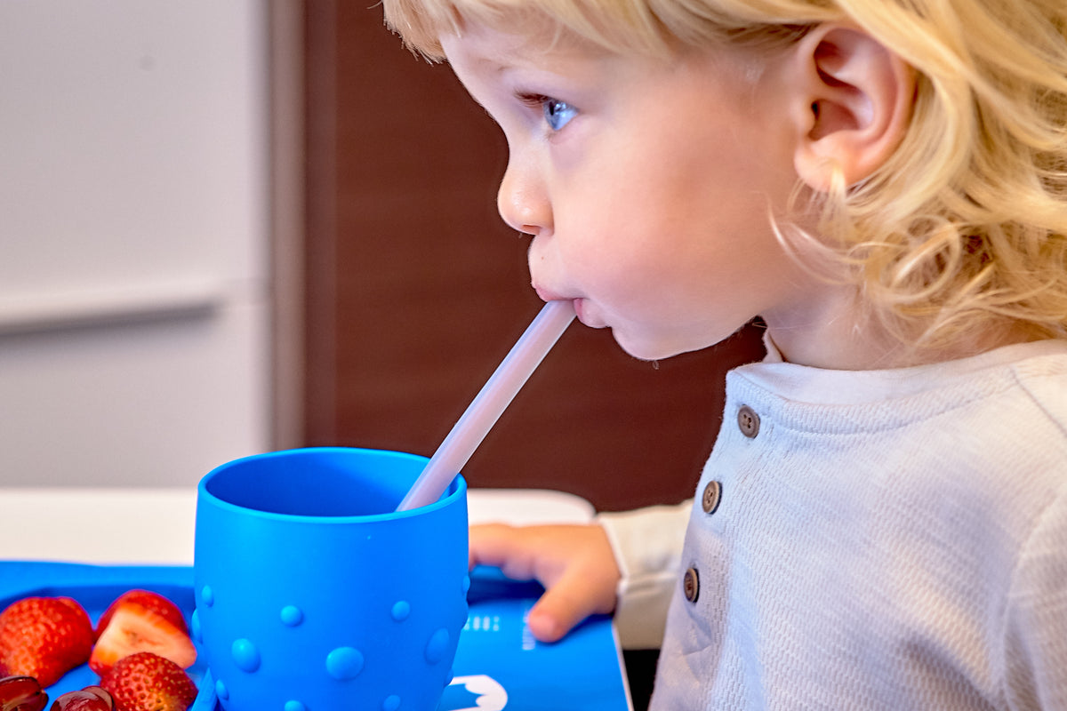 Silicone Re Useable Straws