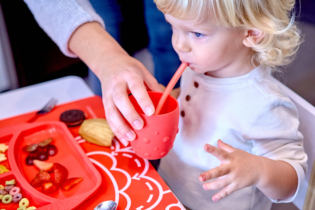 Silicone Re Useable Straws