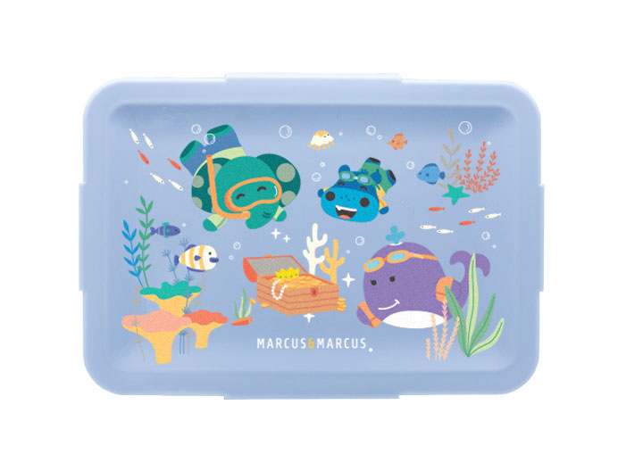 Bento Lunch Boxes