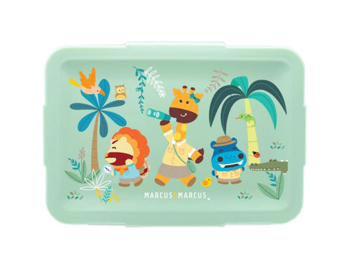 Bento Lunch Boxes