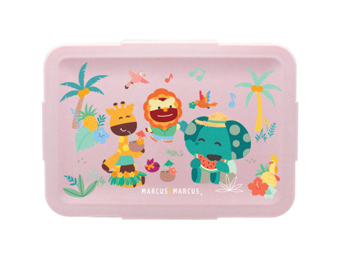 Bento Lunch Boxes