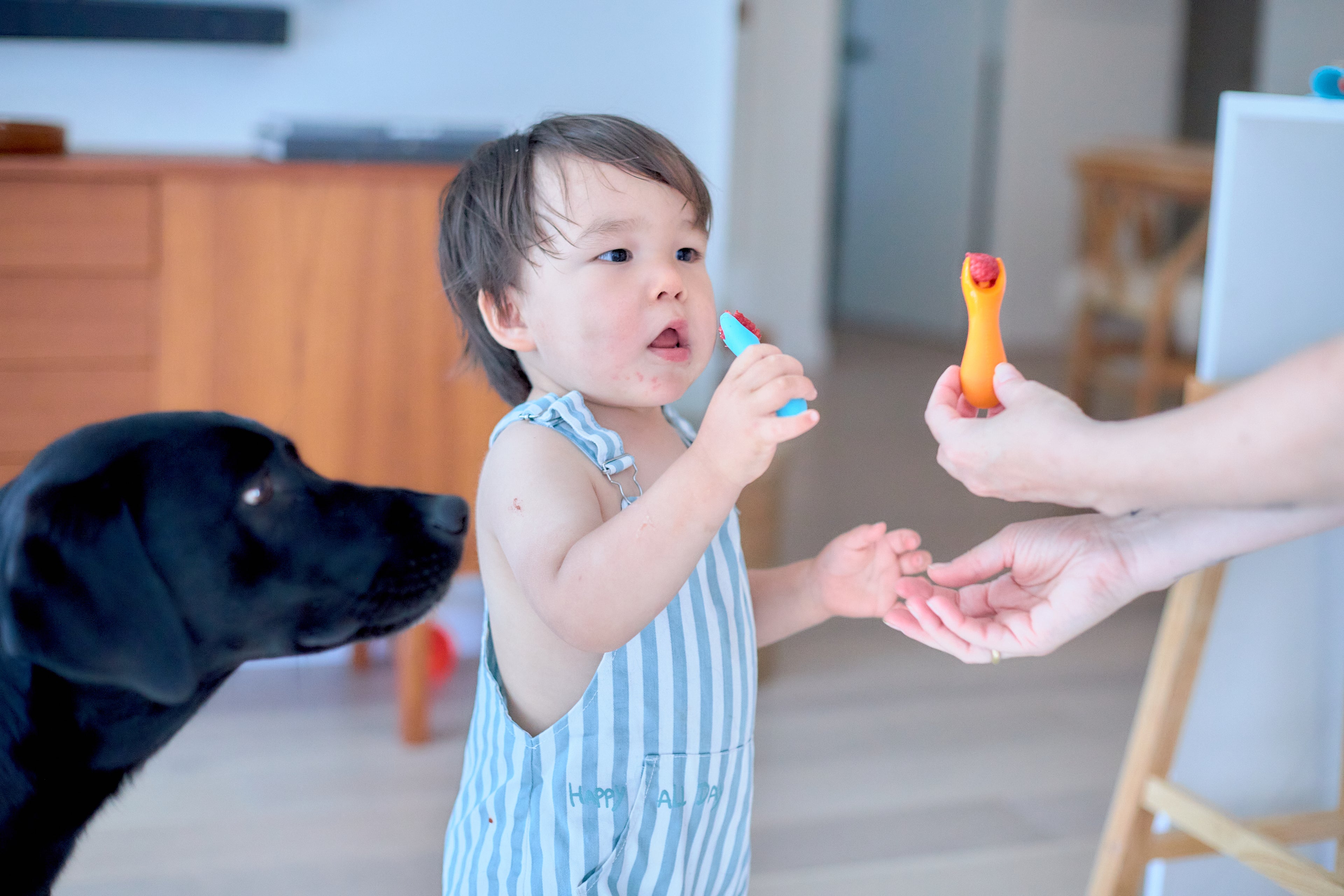 Marcus & Marcus Silicone Palm Grasp Spoon & Fork